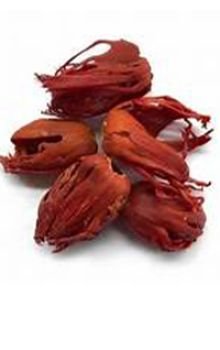 Spices Route