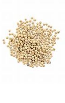Spices Route